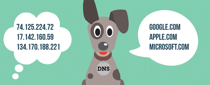 Go进阶30:Golang获取域名/IP/DNS信息